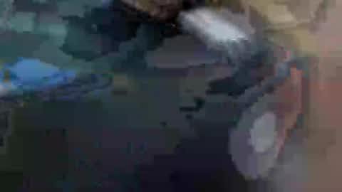 Snapshot of ursexybutt chatting on 01/29/25, 10:48 fiona online show from 01/29/25, 10:48