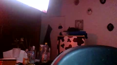 user_of_existance online show from 04/03/26, 07:17