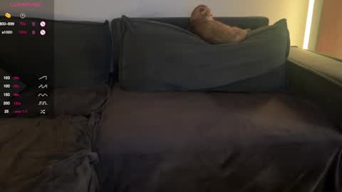 Snapshot of vaiee chatting on 02/20/25, 07:52 Valery online show from 02/20/25, 07:52