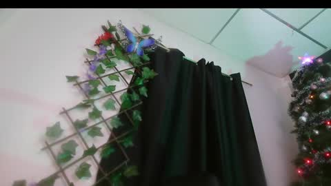 Valery online show from 12/16/24, 08:41