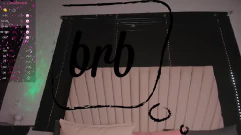 Snapshot of valeria_uribe22 chatting on 02/13/25, 08:03 online show from 02/13/25, 08:03