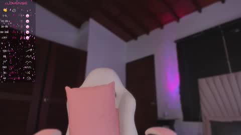 Snapshot of valeria_uribe22 chatting on 02/27/25, 08:31 online show from 02/27/25, 08:31