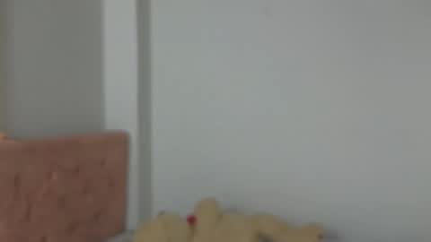 valery_lovex_ online show from 10/10/25, 02:10