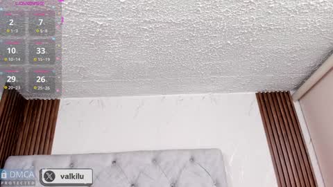 Snapshot of valkilu11 chatting on 01/22/25, 12:06 valkilu11 online show from 01/22/25, 12:06