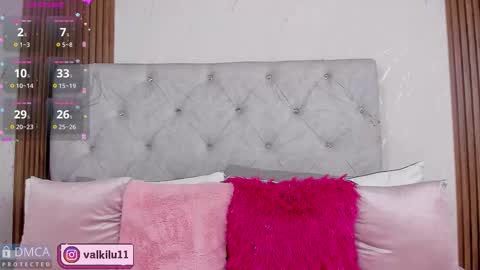 Snapshot of valkilu11 chatting on 11/15/25, 01:03 valkilu11 online show from 11/15/25, 01:03