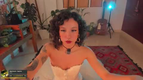      online show from 02/21/26, 09:27