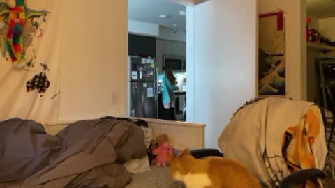 Snapshot of vanessapark chatting on 01/04/25, 03:07 Vanessa online show from 01/04/25, 03:07