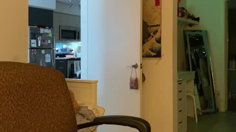 Snapshot of vanessapark chatting on 01/05/25, 03:34 Vanessa online show from 01/05/25, 03:34