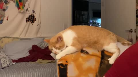 Snapshot of vanessapark chatting on 12/15/25, 02:05 Vanessa online show from 12/15/25, 02:05