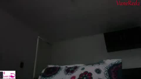 Snapshot of vanessared2 chatting on 09/14/25, 10:53 Vanesared2 online show from 09/14/25, 10:53