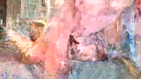 vanillasnackpack007 online show from 02/03/26, 05:40