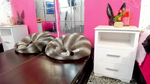 Snapshot of vannellope_roberts chatting on 04/08/26, 12:27 Vannellope online show from 04/08/26, 12:27