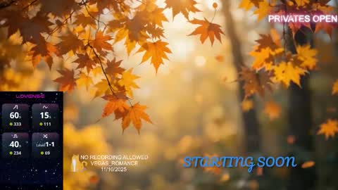 vegas_romance online show from 11/11/25, 12:43