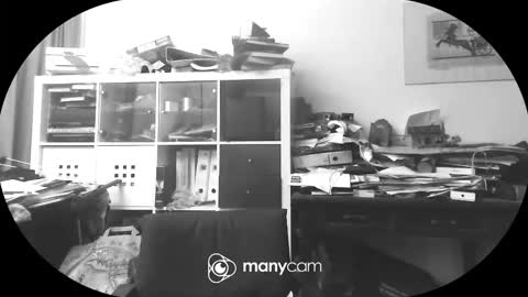 vejun2025 online show from 09/11/25, 07:47