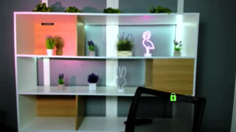 veldi_to online show from 02/02/26, 07:34