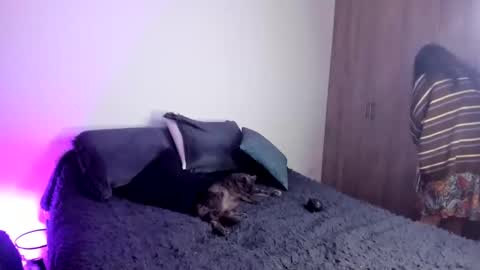 velmoon online show from 10/22/25, 06:29