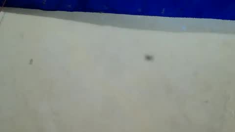 Snapshot of velvetrain69 chatting on 12/12/24, 08:25 velvet online show from 12/12/24, 08:25