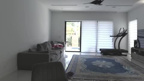 VelvetTGirl online show from 02/21/26, 03:24