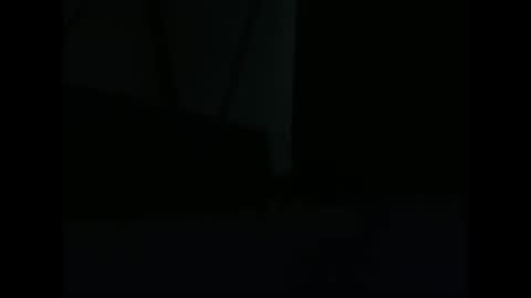 Snapshot of vendi1 chatting on 12/28/24, 09:52 vendi1 online show from 12/28/24, 09:52