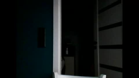 Snapshot of vendi1 chatting on 11/26/25, 05:03 vendi1 online show from 11/26/25, 05:03