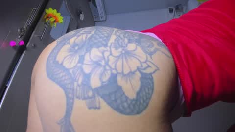 vennuss01 online show from 05/25/26, 04:13