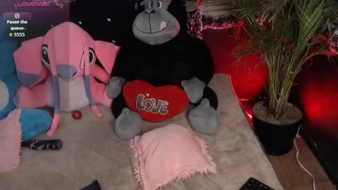 eva online show from 01/11/26, 12:26