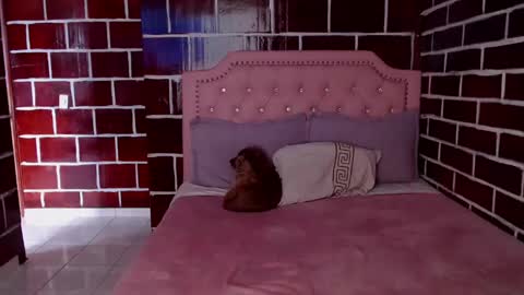 Snapshot of venus_megan chatting on 03/08/25, 10:34 emily independent account MY conextion 1100 GTM to 17hr GTM online show from 03/08/25, 10:34