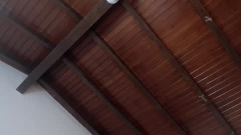 Venus Evans online show from 02/04/25, 03:54