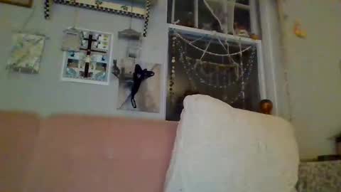 Snapshot of venuskisth chatting on 01/09/25, 08:13 venuskisth online show from 01/09/25, 08:13