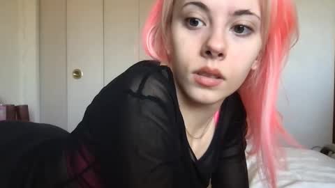 venustheflytrap online show from 04/06/26, 05:03