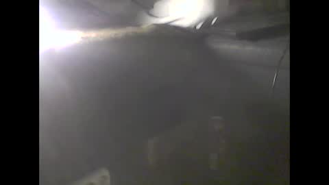 Im DanielVerdo  25 years old Lets have Fun and just ask what wanne know   tnew anal bigock cum  slave  fullnaked online show from 01/09/25, 02:01