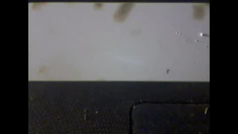 Im DanielVerdo  25 years old Lets have Fun and just ask what wanne know   tnew anal bigock cum  slave  fullnaked online show from 03/01/25, 06:35