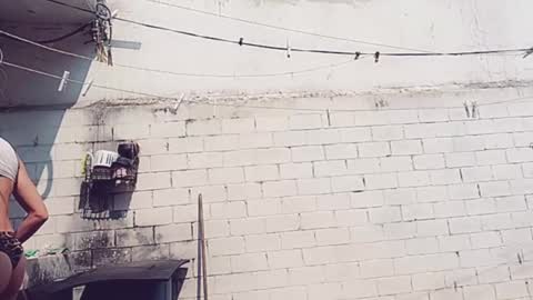 Vero Alva online show from 01/30/25, 05:17