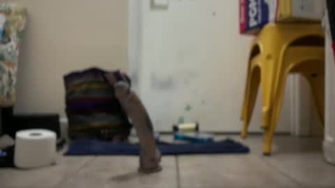 Snapshot of verona365 chatting on 09/22/25, 02:02 Hmartinez365 online show from 09/22/25, 02:02