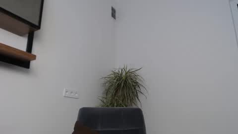 veronik_shy online show from 02/12/26, 08:42