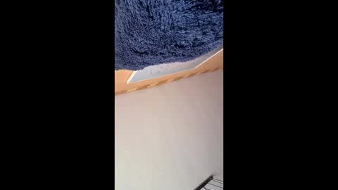 veronika456 online show from 06/04/26, 07:58