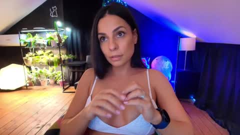 vevelicious online show from 11/07/25, 08:42