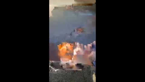 vhornynige69 online show from 01/09/26, 03:09