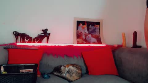 vicky_gill_ online show from 10/17/25, 07:49