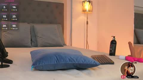 Snapshot of victoria__rossi chatting on 02/15/25, 02:55 online show from 02/15/25, 02:55