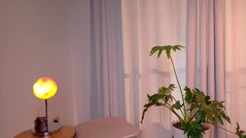 VictoriaNova online show from 07/14/26, 10:15