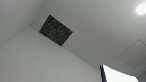 Victoria Vixen online show from 04/03/26, 08:18