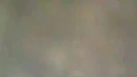 Snapshot of viennaguy79 chatting on 03/03/26, 07:47 viennaguy79 online show from 03/03/26, 07:47