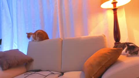 Snapshot of viiolet_collins chatting on 06/15/26, 02:25 VIOLET online show from 06/15/26, 02:25