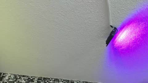 Viiolett online show from 09/17/25, 04:19