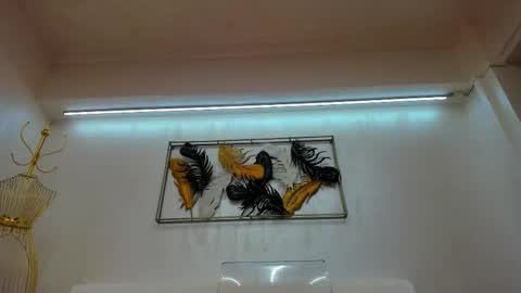 Snapshot of vikafever chatting on 11/10/25, 04:11 vikafever online show from 11/10/25, 04:11