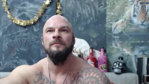 viking online show from 01/31/26, 07:56