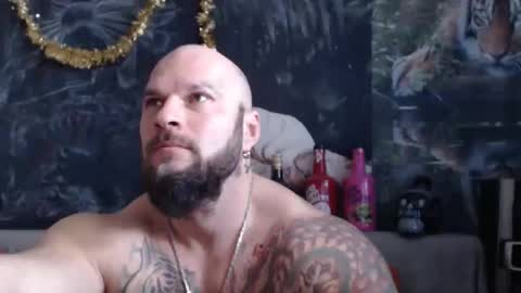 viking online show from 02/01/26, 08:02