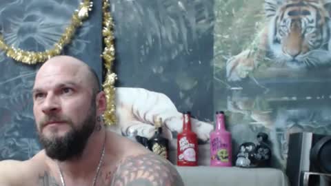 viking online show from 02/19/26, 08:05