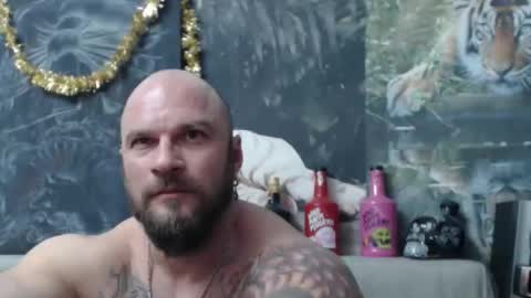 viking online show from 02/25/26, 08:51